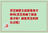 灵芝破壁之后就是孢子粉吗(灵芝壳破了就成孢子粉？解密灵芝的转化过程)