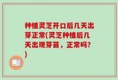 种植灵芝开口后几天出芽正常(灵芝种植后几天出现芽苗，正常吗？)