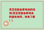 灵芝花胶虫草鸡汤的功效(灵芝花胶虫草鸡汤的益处如何，快来了解！)