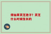 得仙草灵芝孢子？灵芝什么时候生长的
