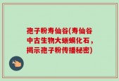 孢子粉寿仙谷(寿仙谷中古生物大蜥蜴化石，揭示孢子粉传播秘密)