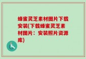 蜂蜜灵芝素材图片下载安装(下载蜂蜜灵芝素材图片：安装照片资源库)