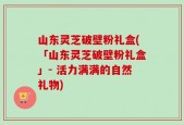 山东灵芝破壁粉礼盒(「山东灵芝破壁粉礼盒」- 活力满满的自然礼物)