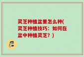 灵芝种植盆里怎么种(灵芝种植技巧：如何在盆中种植灵芝？)