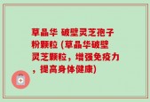破壁灵芝孢子粉颗粒 (破壁灵芝颗粒，增强免疫力，提高身体健康)