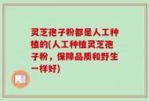 灵芝孢子粉都是人工种植的(人工种植灵芝孢子粉，保障品质和野生一样好)