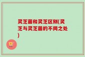 灵芝菌和灵芝区别(灵芝与灵芝菌的不同之处)