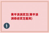 黄平浪洞灵芝(黄平浪洞恭迎灵芝嘉宾)