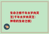 生命之根千年太岁肉灵芝(千年太岁肉灵芝：神奇的生命之根)