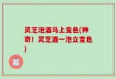 灵芝泡酒马上变色(神奇！灵芝酒一泡立变色)