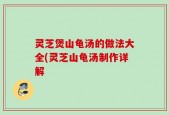 灵芝煲山龟汤的做法大全(灵芝山龟汤制作详解