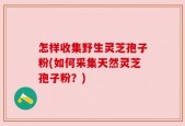 怎样收集野生灵芝孢子粉(如何采集天然灵芝孢子粉？)