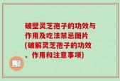 破壁灵芝孢子的功效与作用及吃法禁忌图片 (破解灵芝孢子的功效、作用和注意事项)