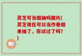 灵芝可当烟抽吗图片(灵芝现在可以当作卷烟来抽了，你试过了吗？)