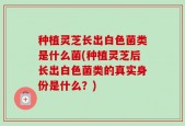 种植灵芝长出白色菌类是什么菌(种植灵芝后长出白色菌类的真实身份是什么？)