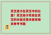 灵芝孢子在灵芝中的位置？灵芝孢子究竟在灵芝的伞面还是伞底有相关参考书籍