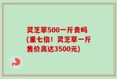 灵芝草500一斤贵吗(重七倍！灵芝草一斤售价高达3500元)