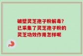 破壁灵芝孢子粉解毒？已采集了灵芝孢子粉的灵芝功效作用怎样呢
