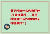 灵芝种植什么作物好种子(最佳菜种——灵芝种植用什么作物的种子种植最好？)