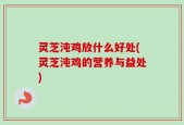 灵芝沌鸡放什么好处(灵芝沌鸡的营养与益处)