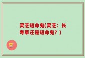 灵芝短命鬼(灵芝：长寿草还是短命鬼？)