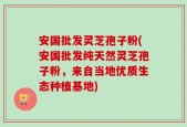 安国批发灵芝孢子粉(安国批发纯天然灵芝孢子粉，来自当地优质生态种植基地)