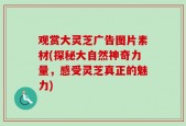 观赏大灵芝广告图片素材(探秘大自然神奇力量，感受灵芝真正的魅力)