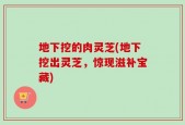 地下挖的肉灵芝(地下挖出灵芝，惊现滋补宝藏)