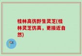 桂林高仿野生灵芝(桂林灵芝仿真，更接近自然)