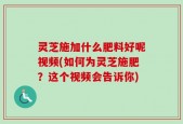 灵芝施加什么肥料好呢视频(如何为灵芝施肥？这个视频会告诉你)
