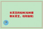 长灵芝的松树(松树提取长灵芝，功效独特)