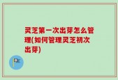 灵芝第一次出芽怎么管理(如何管理灵芝初次出芽)