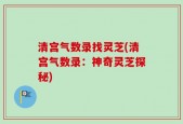 清宫气数录找灵芝(清宫气数录：神奇灵芝探秘)