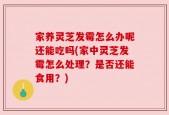 家养灵芝发霉怎么办呢还能吃吗(家中灵芝发霉怎么处理？是否还能食用？)