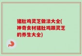 猪肚鸡灵芝做法大全(神奇食材猪肚鸡跟灵芝的养生大全)