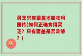 灵芝只有菌盖才能吃吗图片(如何正确食用灵芝？只有菌盖是否足够？)