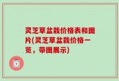 灵芝草盆栽价格表和图片(灵芝草盆栽价格一览，带图展示)