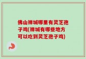 佛山禅城哪里有灵芝孢子鸡(禅城有哪些地方可以吃到灵芝孢子鸡)