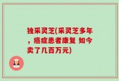 独采灵芝(采灵芝多年，癌症患者康复 如今卖了几百万元)