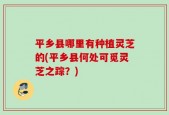 平乡县哪里有种植灵芝的(平乡县何处可觅灵芝之踪？)