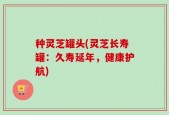 种灵芝罐头(灵芝长寿罐：久寿延年，健康护航)