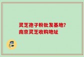 灵芝孢子粉批发基地？南京灵芝收购地址