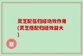 灵芝配伍归经功效作用(灵芝搭配归经效益大)