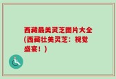 西藏最美灵芝图片大全(西藏壮美灵芝：视觉盛宴！)