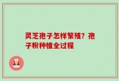 灵芝孢子怎样繁殖？孢子粉种植全过程