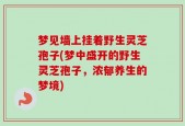 梦见墙上挂着野生灵芝孢子(梦中盛开的野生灵芝孢子，浓郁养生的梦境)