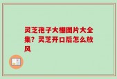 灵芝孢子大棚图片大全集？灵芝开口后怎么放风