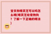 宝贝狗喂灵芝可以吗怎么喂(喂灵芝给宠物狗？了解一下正确的喂法)