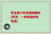 灵芝是个好东西啊图片(灵芝：一种有益的补充品)
