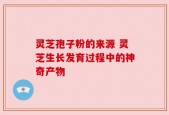 灵芝孢子粉的来源 灵芝生长发育过程中的神奇产物